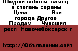 Шкурки соболя (самец) 1-я степень седены › Цена ­ 12 000 - Все города Другое » Продам   . Чувашия респ.,Новочебоксарск г.